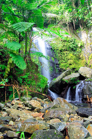 San Juan - El Yunque Rainforest